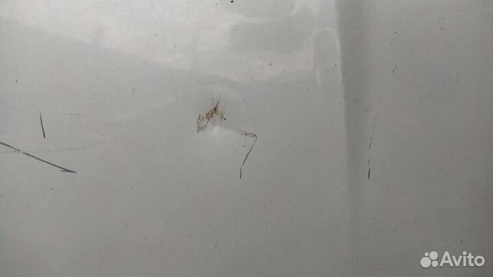 Mitsubishi Grandis капот