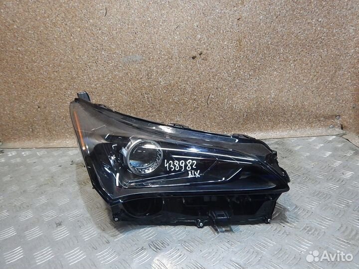 Фара правая, Lexus (Лексус) -NX (14)