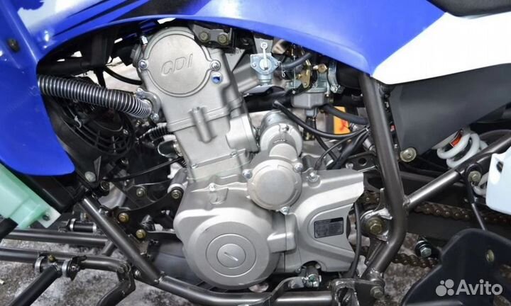 Квадроцикл Motoland ATV 250 S синий