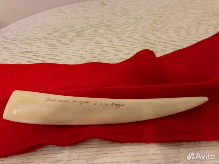 Сувенир: Клык моржа. Имитация