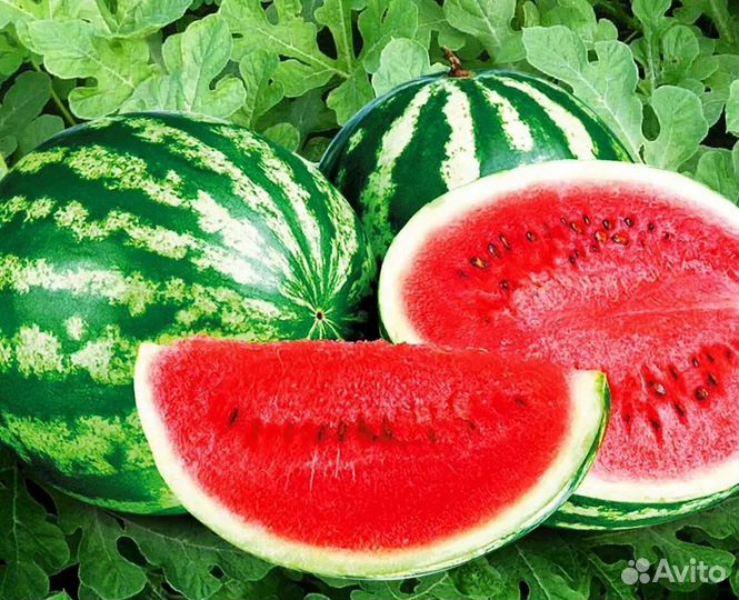Арбузы