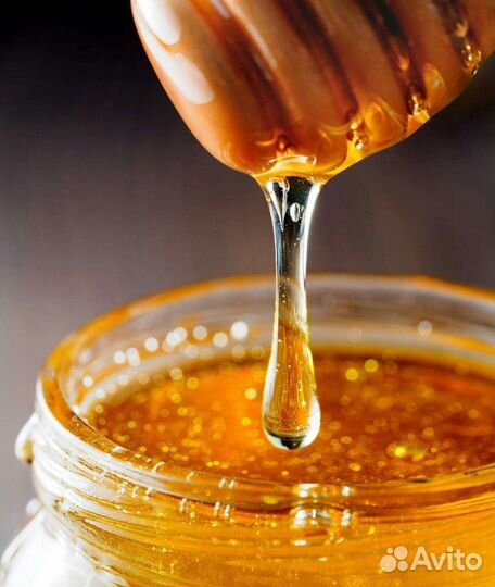 Мед перга пыльца