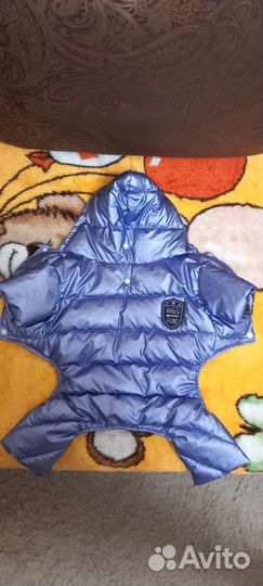 Одежда для средних собак