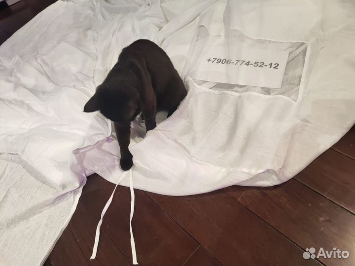 Балдахин на туристический Скиф СССР бязь