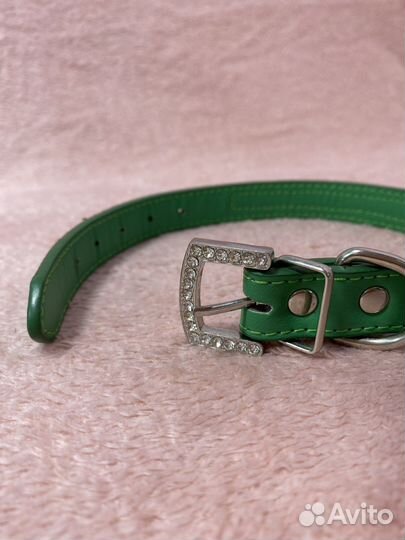 Ошейник для собак