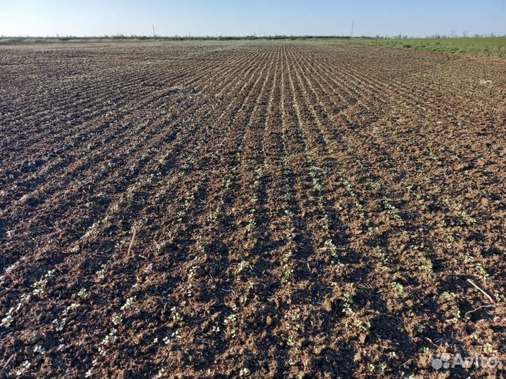 Комплекс посевной Feat Agro S-9600, 2023