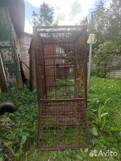 Железная клетка для нутрий