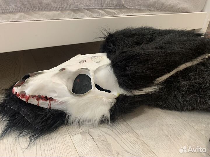 Фурсьют скалл дог