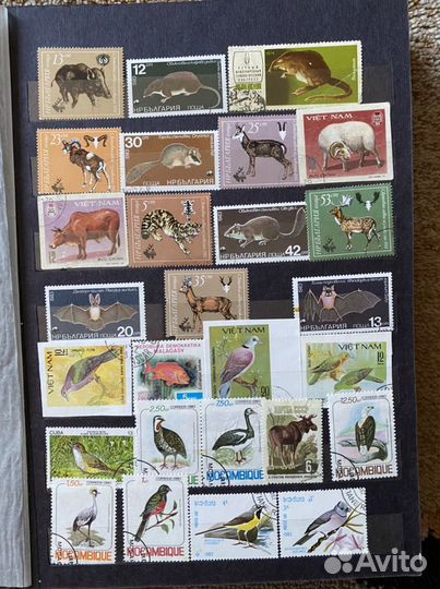 Альбом с марками СССР