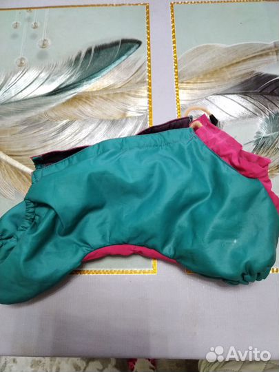 Курточки для маленькой собаки