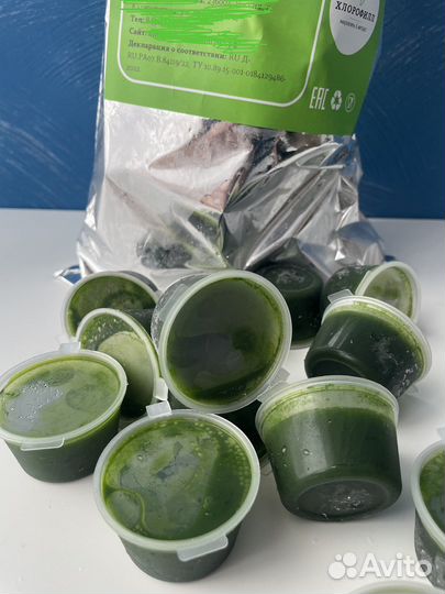 Витграсс сок из ростков пшеницы