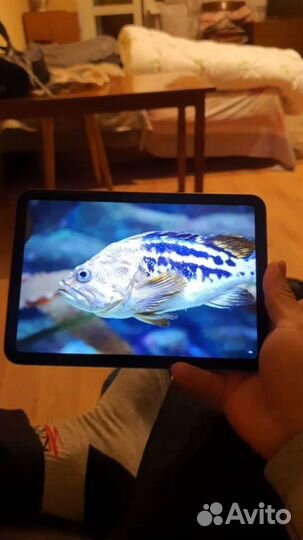 Планшет apple iPad mini 6
