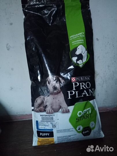 Корм для собак и кошек