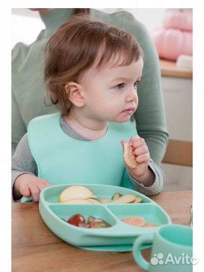 Детская Тарелка секционная на присоске