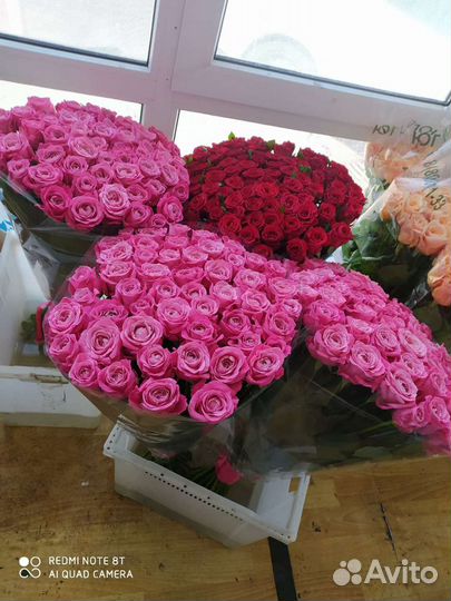 101 роза 70 см и 51 роза 70 см