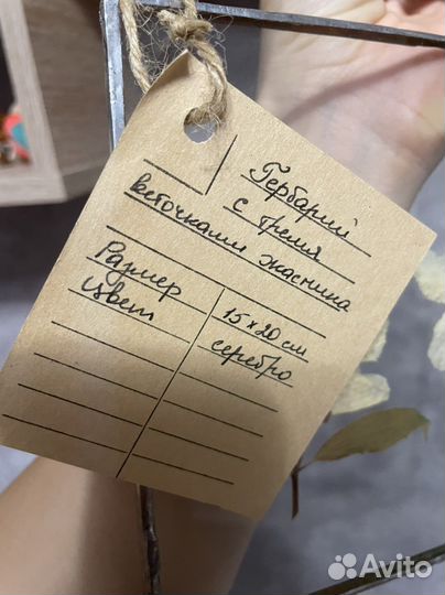Гербарий в стекле