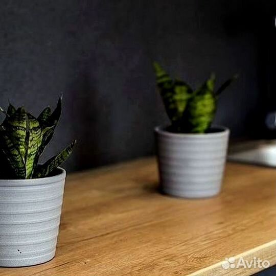 Кухня (цена за всю кухню) артикул: 488