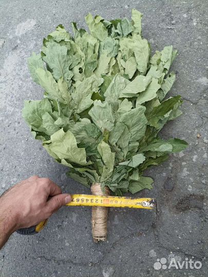 Веники для бани дубовый берёзовый