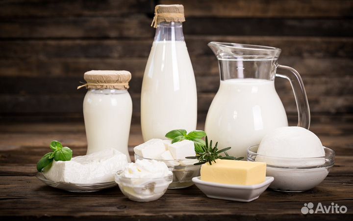 Молочные продукты от айрширских и швицких коров