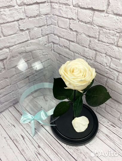 Роза в колбе