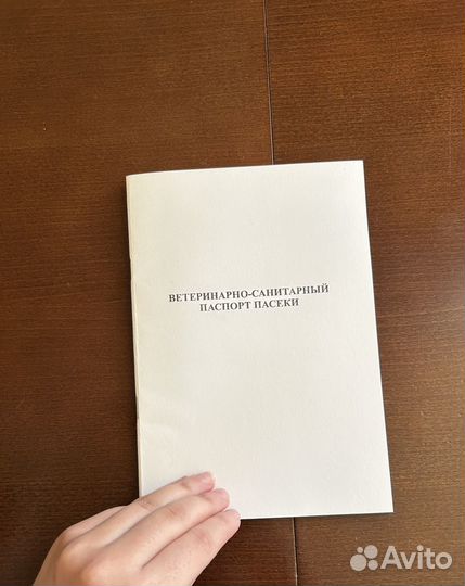 Мед 2023 (цветочный /липа/гречка/ кипрей и др.)