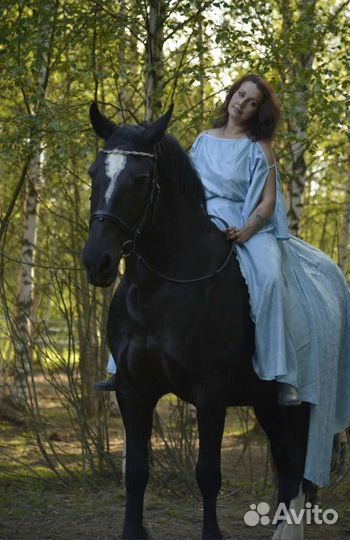 Катание на лошадях