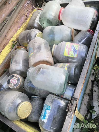 Банки стеклянные бесплатно