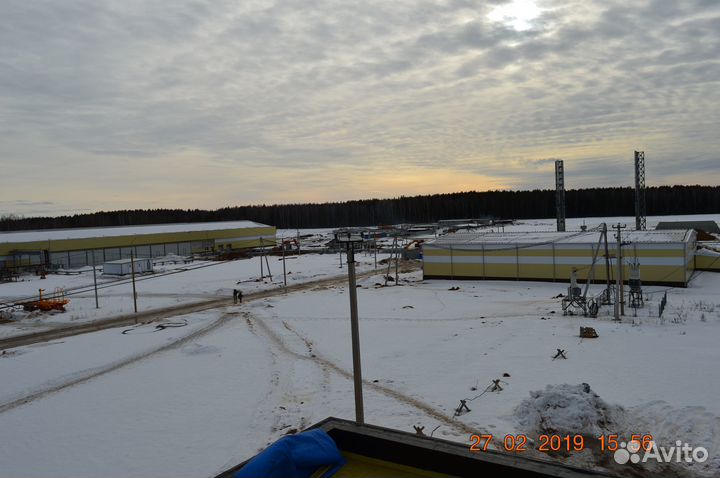 Директор по строительству