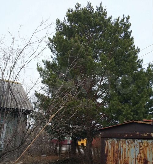 Дом 45 м² на участке 14 сот.