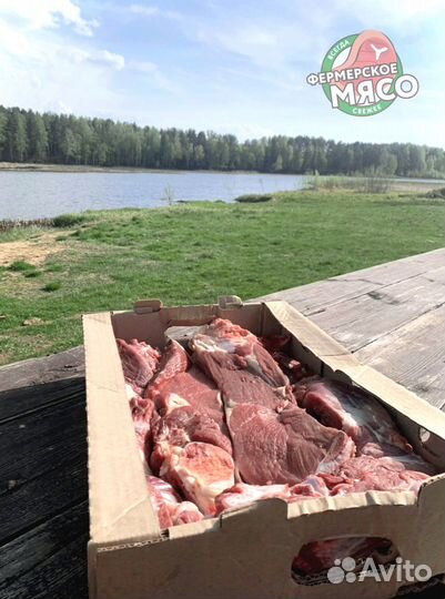 Мясо говядина