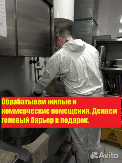 Уничтожение тараканов клопов плесени дезинфекция