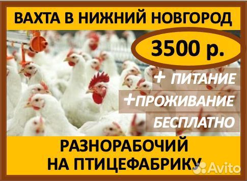 Вахта: Разнорабочий на птицефабрику (Н.Новгород)