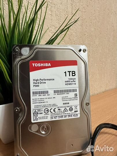 Жесткий диск 1 тб toshiba