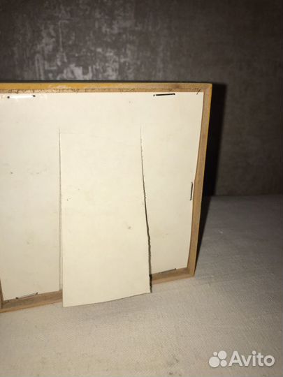 Ракушка в рамке, декор, картина