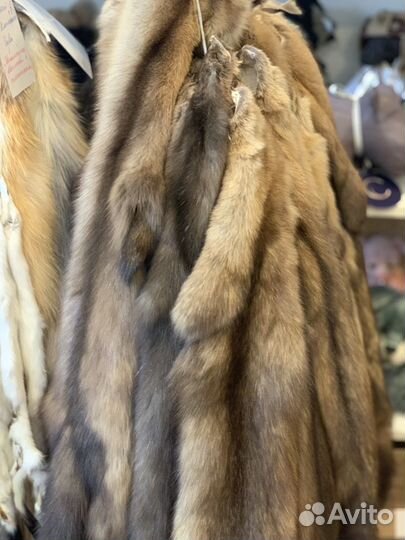 Шкурки Соболь продажа