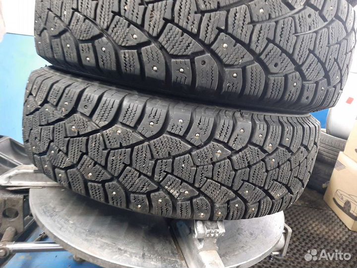 Matador MP 51 Sibir 2 185/65 R15