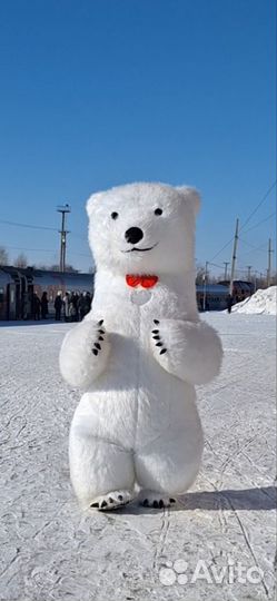 Белый Мишка
