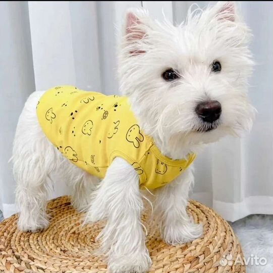 Майка для собак/кошек р.XS (спинка 20см)