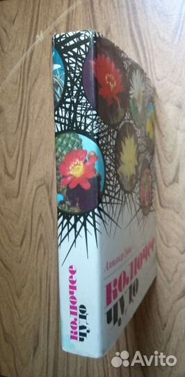 Колючее чудо. А. Урбан. 1983г