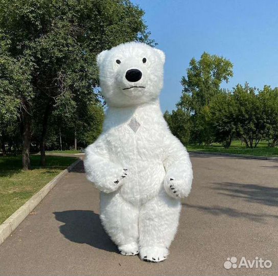 Белый мишка, Зайчики, Поздравление, Аниматор