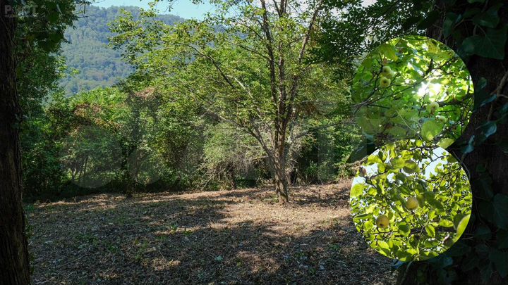 Участок 7,6 сот. (СНТ, ДНП)