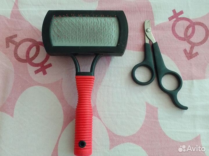 Когтерезка и щетка для кошек