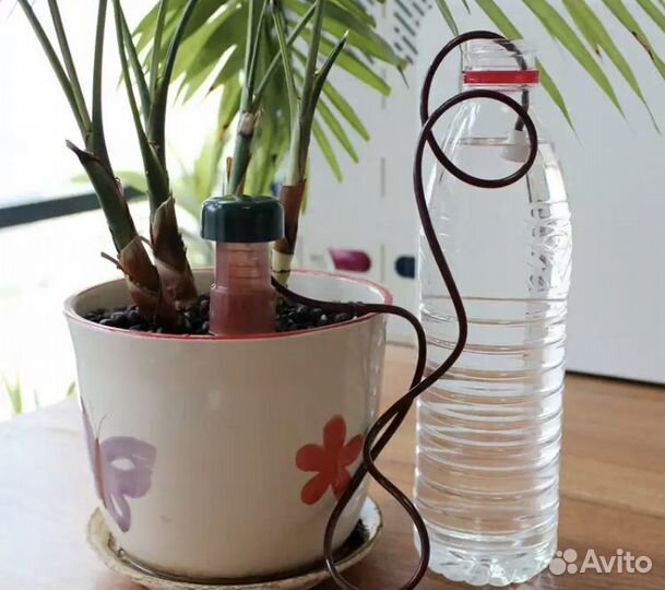 Капельный полив