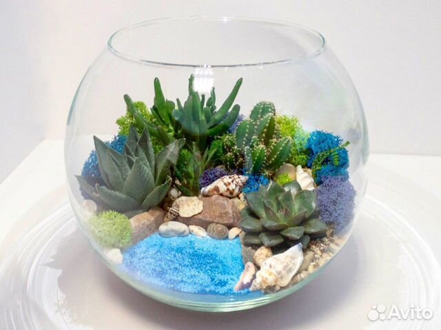 Флорариум с суккулентами и водоемом