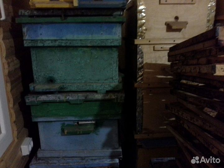 Ульи Рут, Дадан