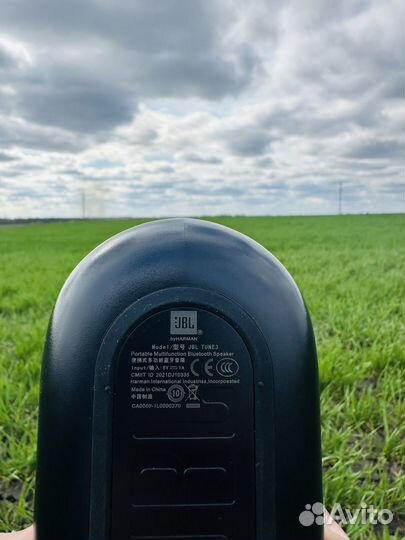 Колонка с FM тюнером JBL Tune 3