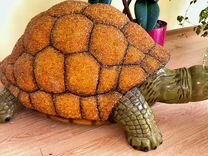 Черепаха янтарная 1 метр на 50 см