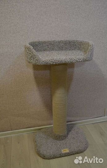 Когтеточка, домики котенка, кошка