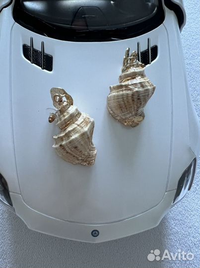 Серьги Ракушки