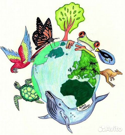 Репетитор по биологии и географии